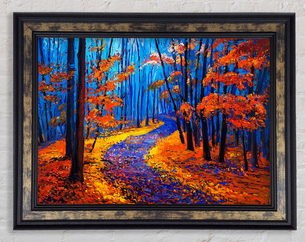 Stunning Autumn Walk Framed Print