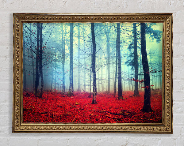 Mist In The Red Forest