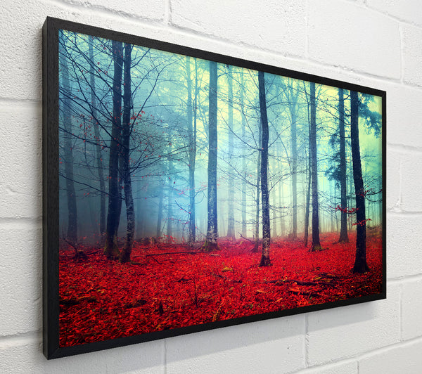 Mist In The Red Forest
