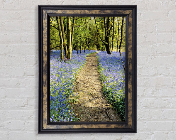 Bluebell Path Framed Print