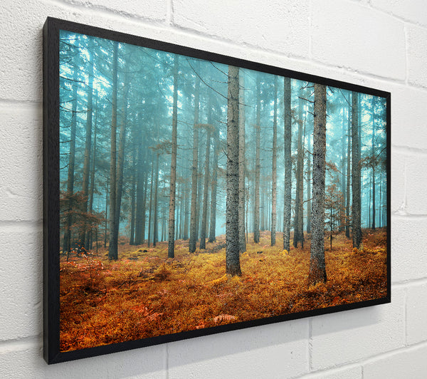 Misty Forest Glow