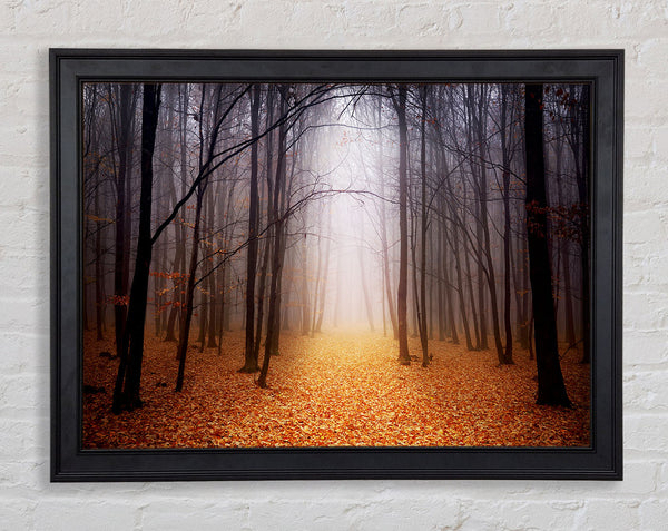 Autumn Mist Framed Print