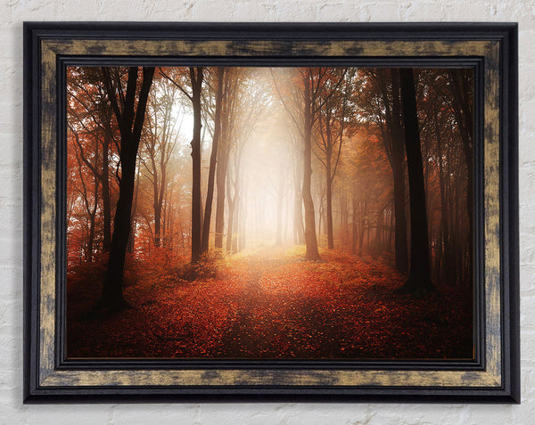 Light From Heaven Framed Print