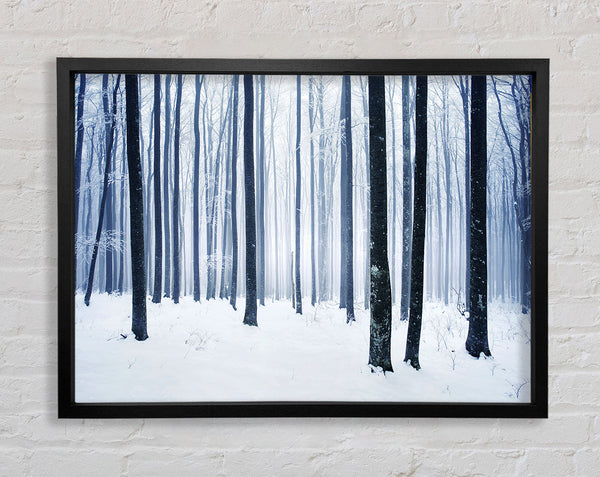 Winterzauber