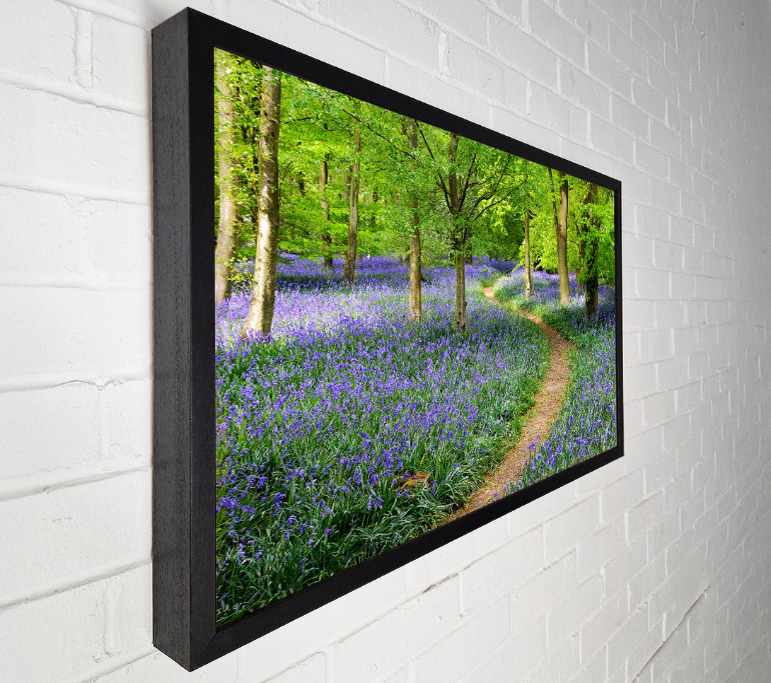  A Canvas Print of Walk Through The Bluebell Path Canvas Print