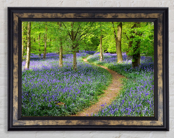 Walk Through The Bluebell Path Framed Print
