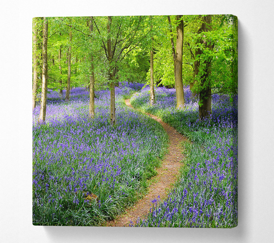  A Canvas Print of Walk Through The Bluebell Path Canvas Print