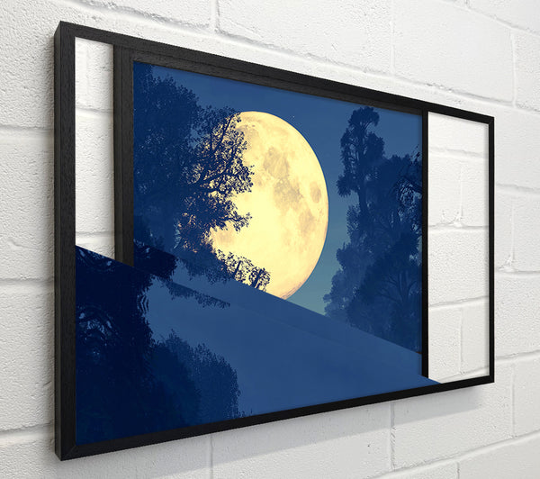 Stunning Midnight Moon Through The Trees