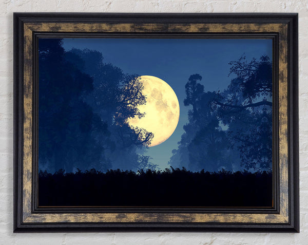 Stunning Midnight Moon Through The Trees Framed Print