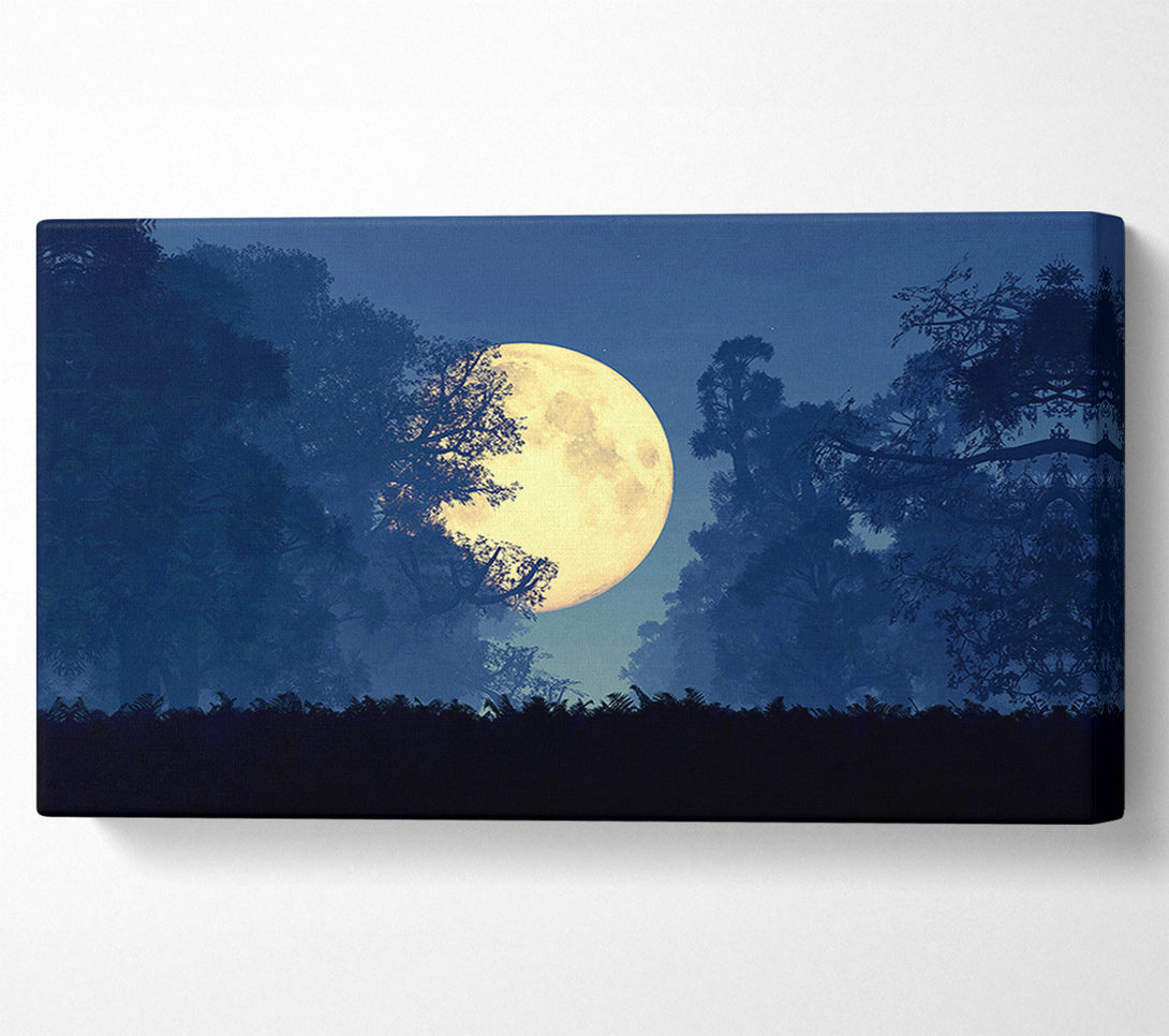  A Canvas Print of Stunning Midnight Moon Through The Trees Canvas Wall Art