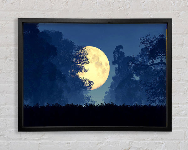 Stunning Midnight Moon Through The Trees
