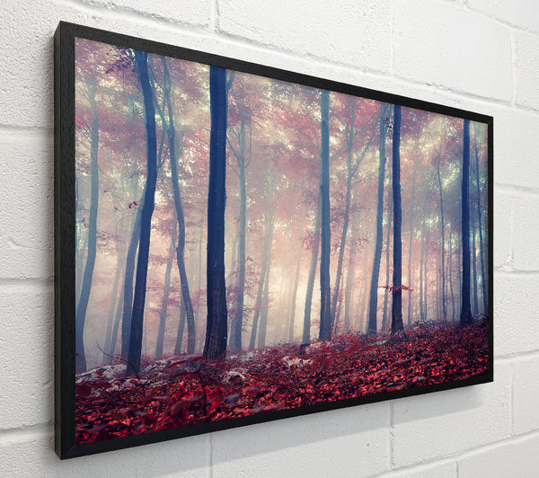 Misy In The Red Forest