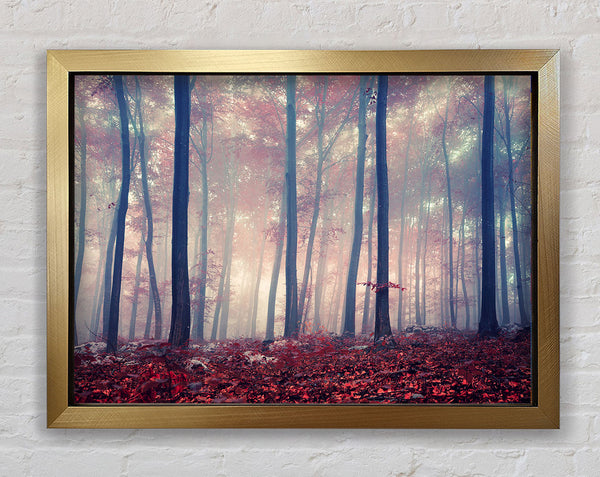 Misy im roten Wald