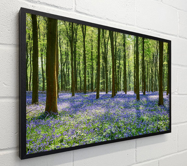 Mystical Bluebell Woodland