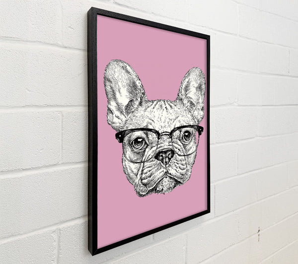French Bulldog In Glasses