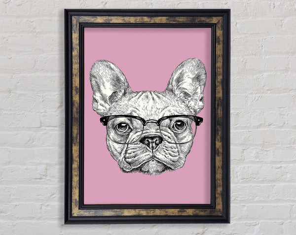 French Bulldog In Glasses Framed Print