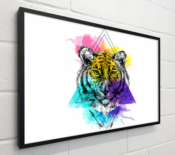 Tiger Paint Splat