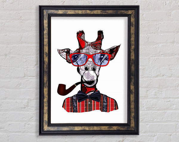 Funky Giraffe 1 Framed Print