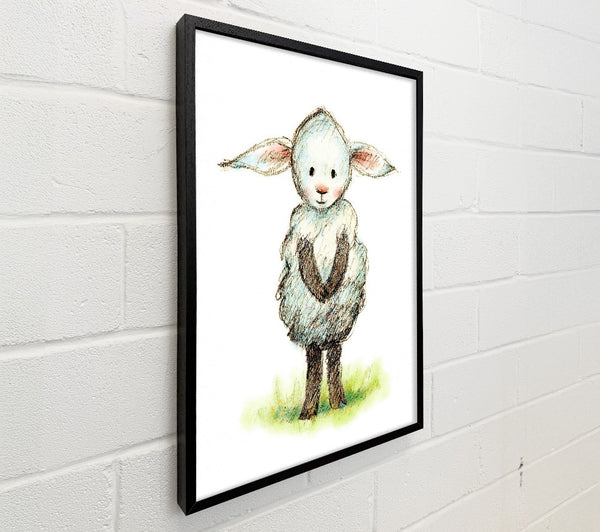 Shy Sheep