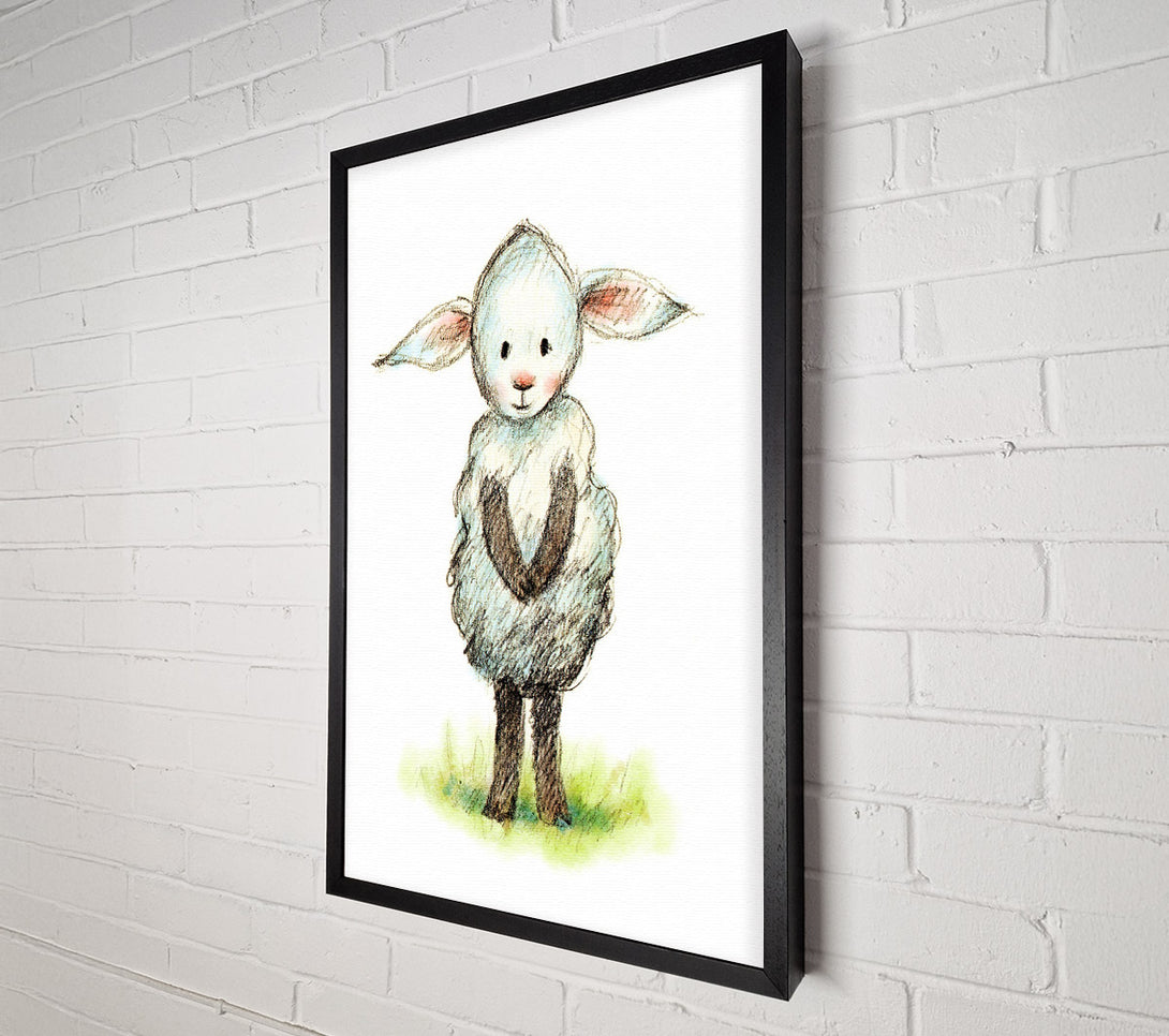  A Canvas Print of Shy Sheep Canvas Art