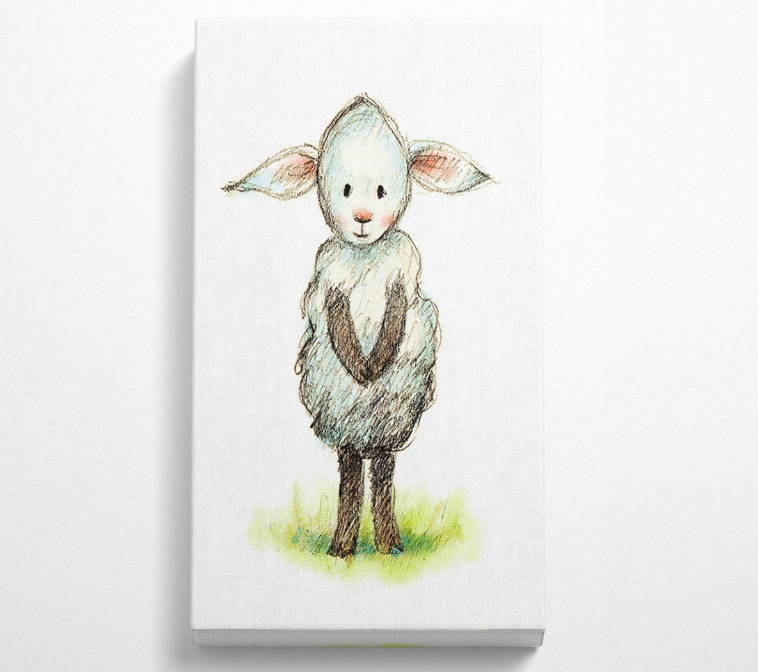  A Canvas Print of Shy Sheep Canvas Art