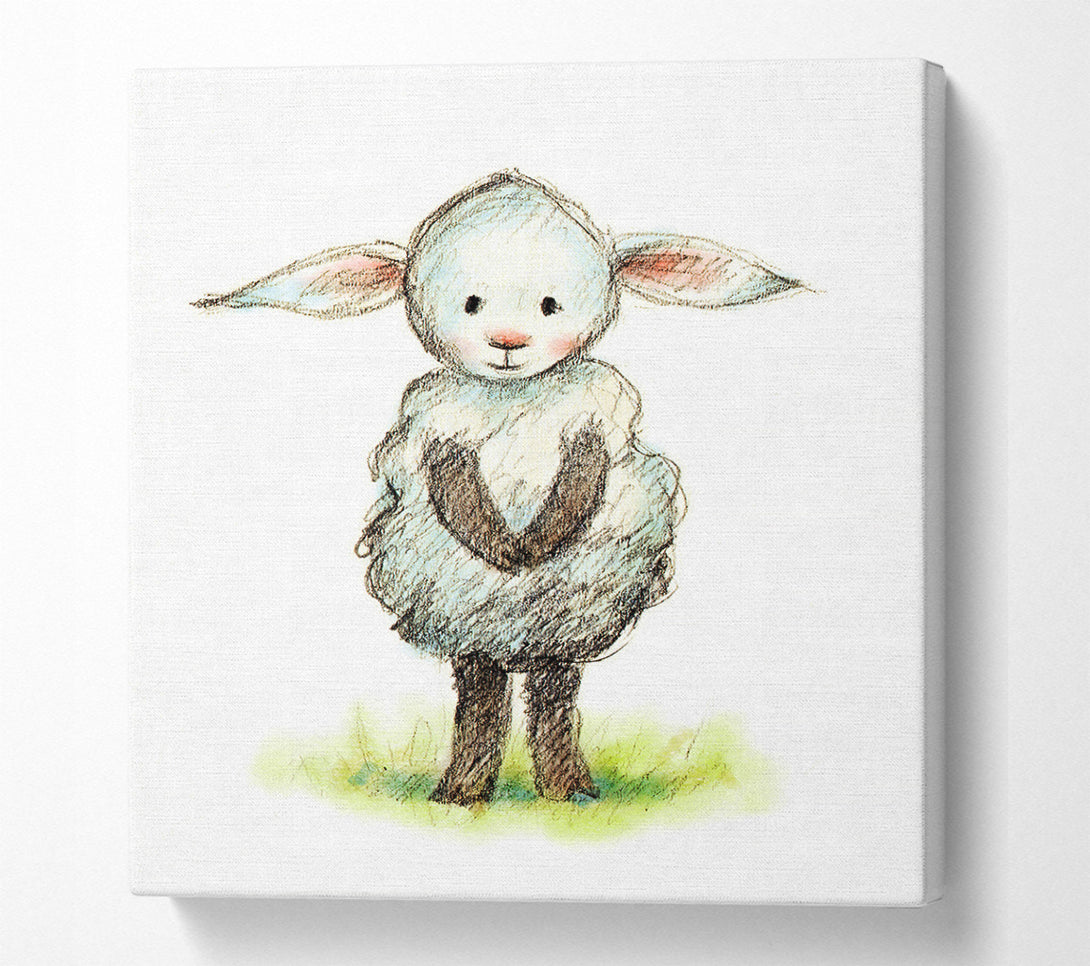  A Canvas Print of Shy Sheep Canvas Art