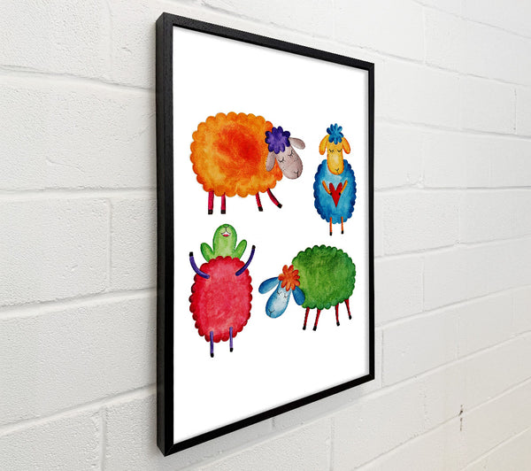 Colourful Sheep