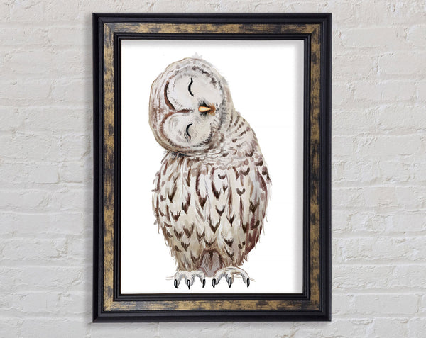 Owl Feathers Framed Print