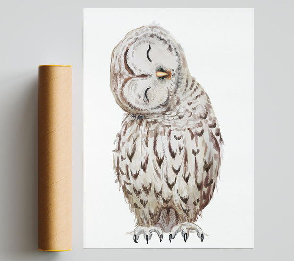 Owl Feathers Giclee Print