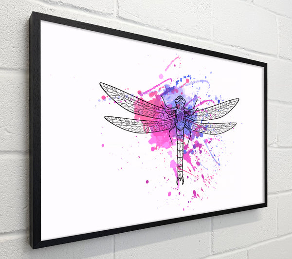 Dragonfly Splash