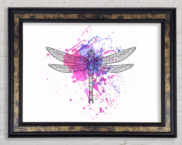Dragonfly Splash Framed Print