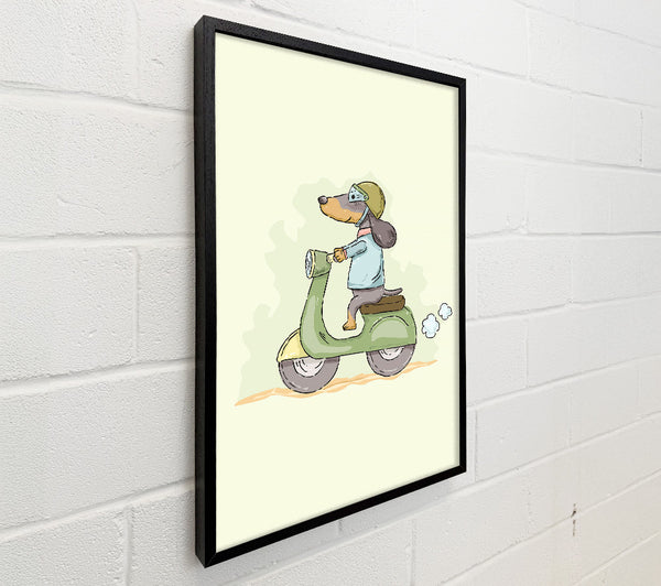 Scooter Dog