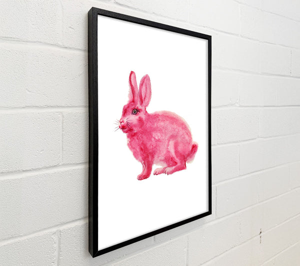 Pink Rabbit Love