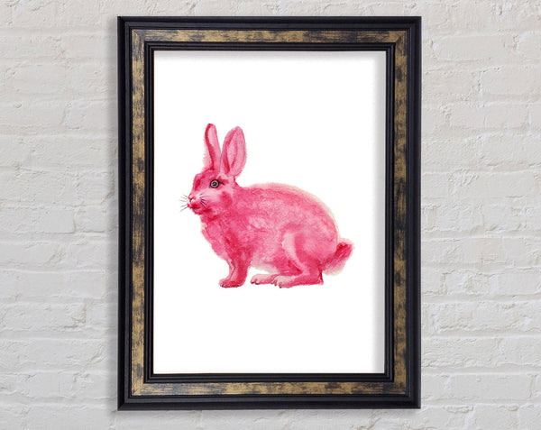 Pink Rabbit Love Framed Print