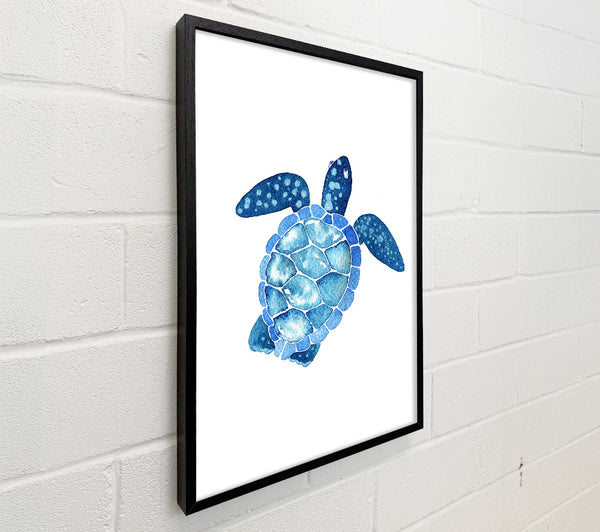 Turtle Love