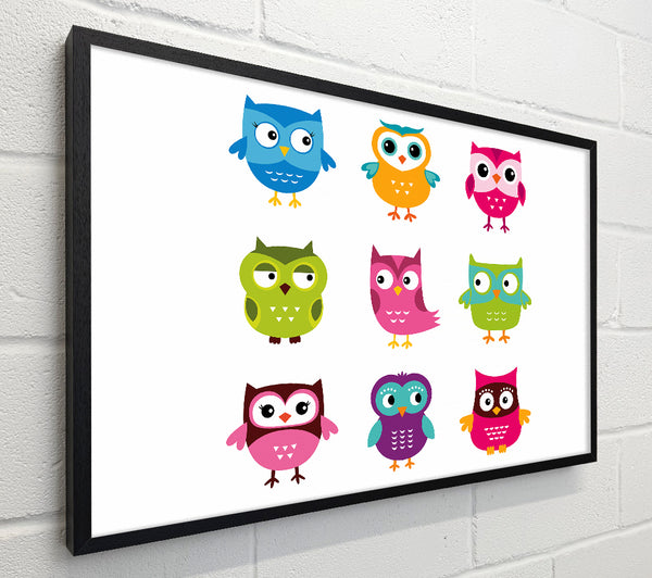Owl Friends