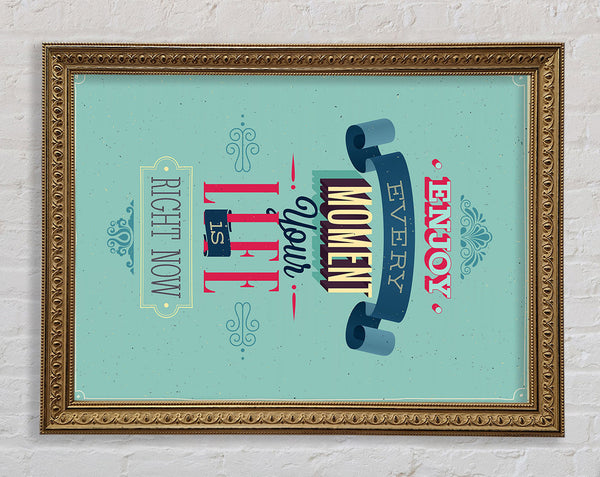 Enjoy Every Moment Framed Print