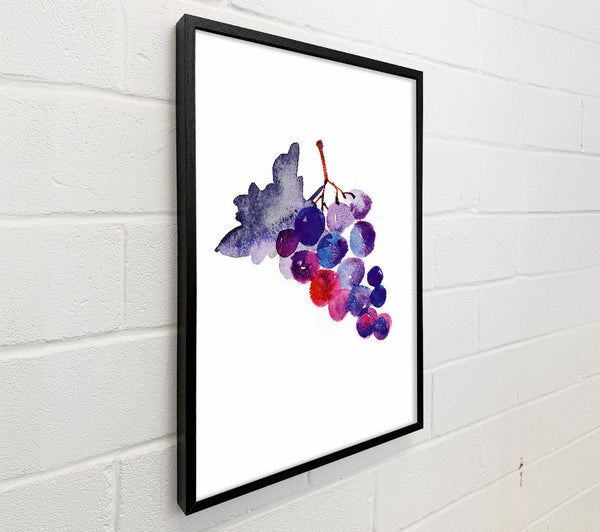 Wine Grapes