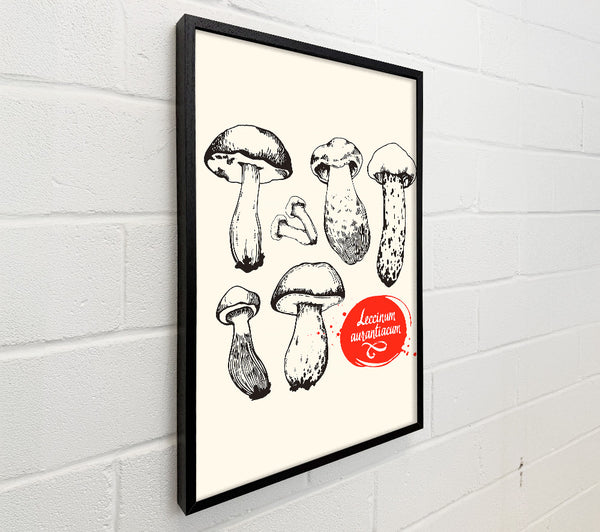 Mushrooms