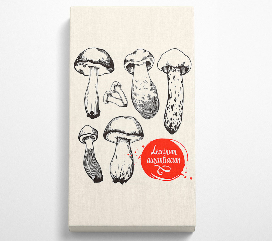  A Canvas Print of Mushrooms Canvas Print