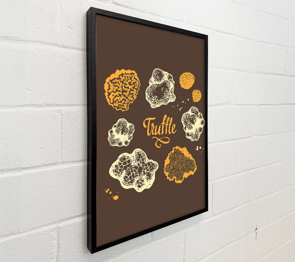 Truffle