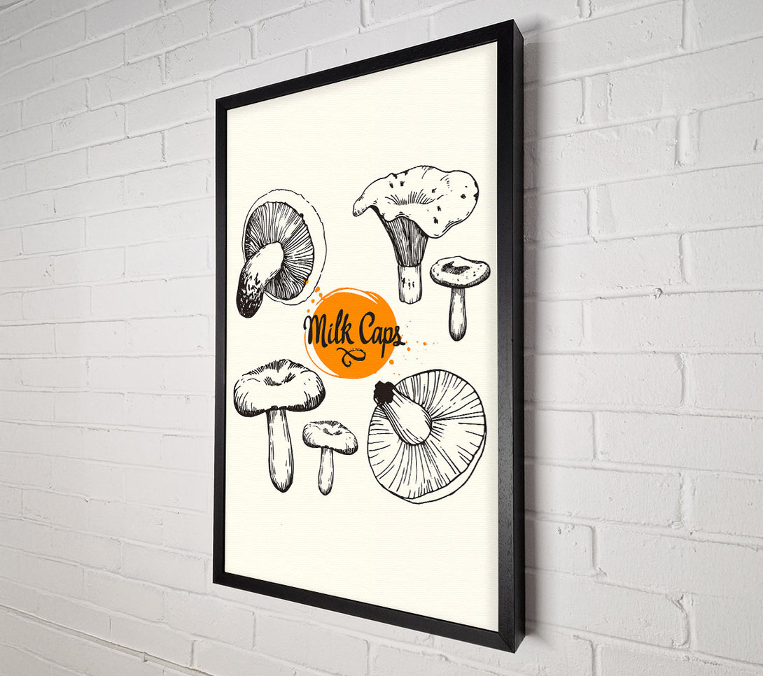  A Canvas Print of Milk Cap Mushrooms Canvas Wall Art