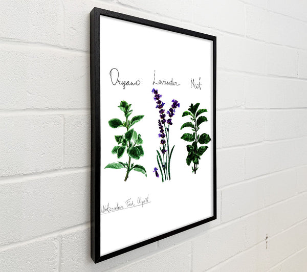 Herb Selection 2