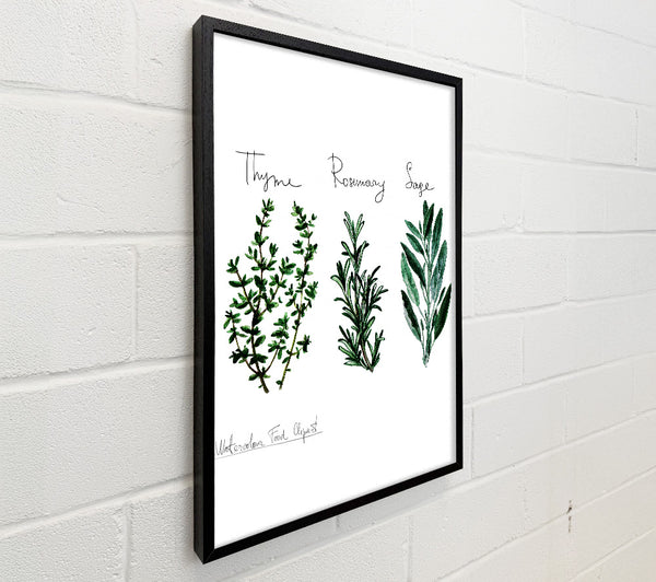 Herb Selection 3