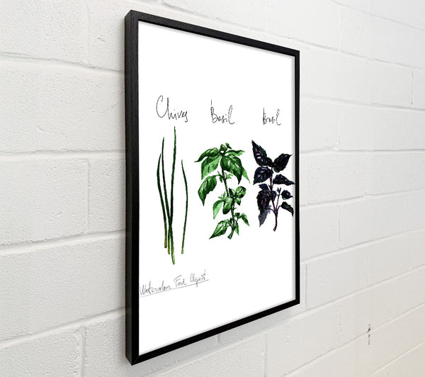 Herb Selection 4