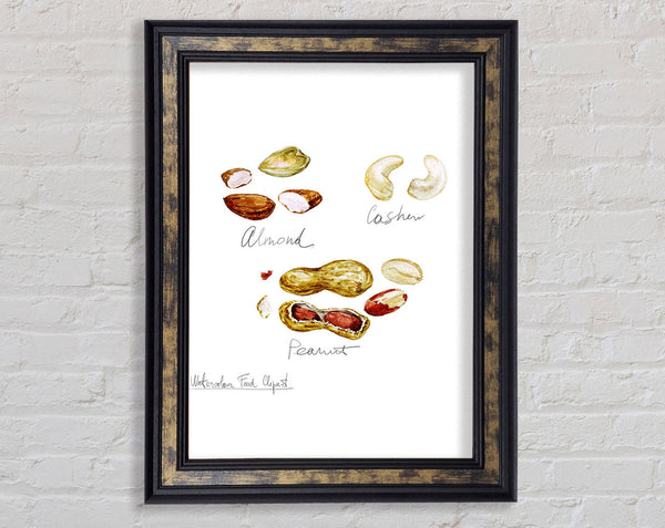 Nut Selection 3 Framed Print