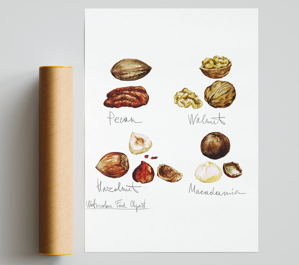 Nut Selection 1 Print