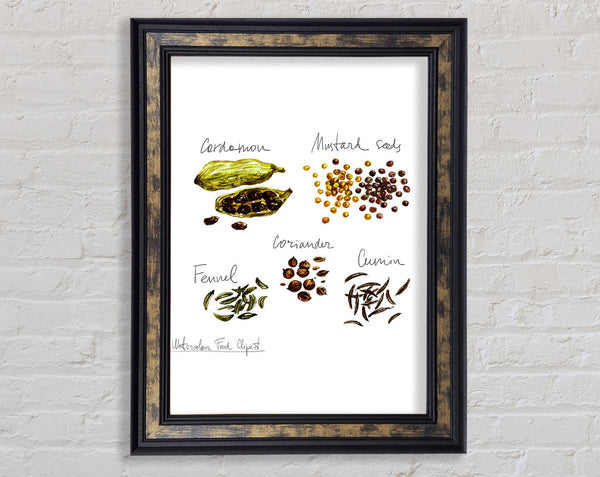 Spice Selection 1 Framed Print