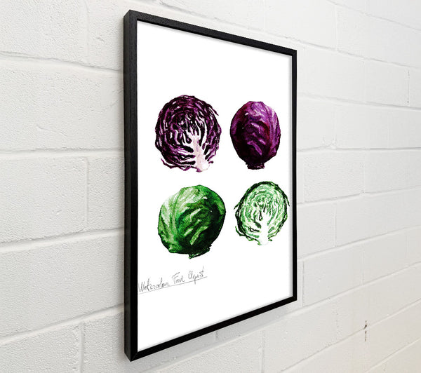 Red And Green Cabbage