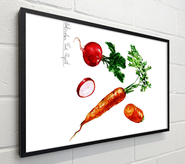 Radish And Carrots